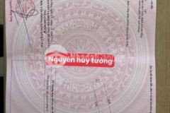 Đất nguyễn huy tưởng hoà minh liên chiểu