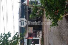 Nhà đất thổ cư sổ riêng điền dơi long thạnh 2 2ty