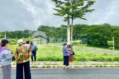 Cô mình có lô đất dt 500m2 đất có sổ sẵn full thổ