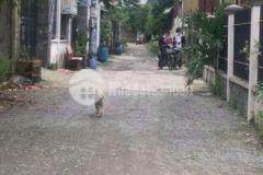 Ngang 4x11 hẽm thông 8 m sổ riêng vay bak2ty250