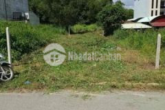 Đất tân an đường nhựa ngay trường học bao đẹp