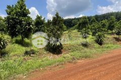 Bán gấp mảnh vườn hơn 3 sào giá rẻ