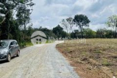 Bán đất ngay cty xí nghiệp đag hoạt động