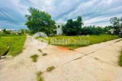 Bán 3 lô ngang 7m đông phú đại hiệp sát hòa khương