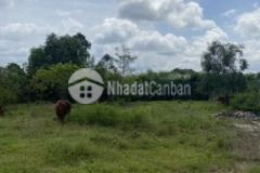 Đất hồ văn tắng xã tân phú trung 534m2 1ty650 shr