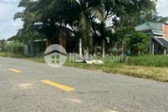 Ban nên đât 300m ql 22