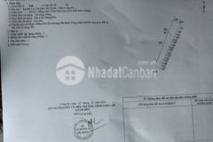 Bán đất giá rẻ vị trí đẹp mỹ lộc c giuộc long an