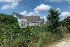 Tx chơn thành 590tr250m2 tc sổ sẵn