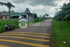 Đất mặt tiền đường nhựa gần thị trấn dầu giây