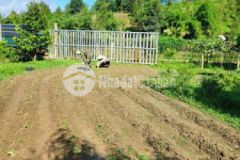 Cần tiền bán nhanh lô đất ở tp bảo lộc