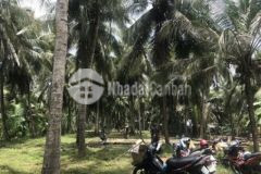 Bán đất công an định mỏ cày nam