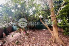 60trm nhà phú diễn chia lô đầu tư ccmn dòng tiền