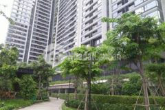 1pn có thể làm 2pn trực tiếp cdt ck 4 5 ntcc