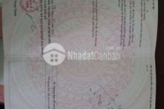 Cần tiền bán gấp đất lai hưng bàu bàng bình dương