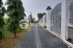 Đất vườn 500n2 tân lân giá rẻ nhanh tay chốt cọc