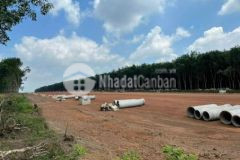 Bán lô đất gần becamex dt 300m tc100 giá chỉ 425tr