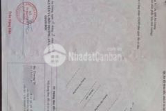 Nền mặt tiền trần hưng đạo kinh doanh