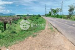 1 mẫu 9 mặt tiền đường nhựa chính hải ninh