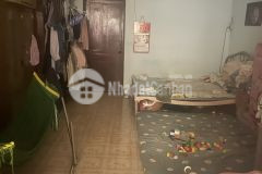 Gấp bán nhà phạm văn hai, 48m2, dòng tiền 7 triệu, cũ tiện xây mới