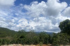 Ban đât xuân trương view đep sat novaland