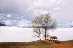 Đất nền y tý sapa2 du lịch 4 mùa đón sóng phân khu xây dựng