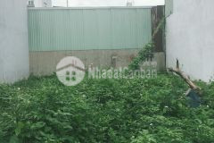 Bán gấp đất thổ cư hxh 5m thạnh lộc 41 quận 12 80m2 giá nhỉnh 4 tỷ