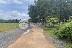 Đất dân giá f0 diện tích đa dạng sổ sẵn vị trí đẹp