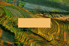 Đất nền sapa, view thung lũng,ruộng bậc thang cực đẹp.