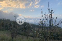 Đất nền y tý sapa2 cửa ngõ du lịch,phù hợp homestay,nhà hàng,khách sạn.