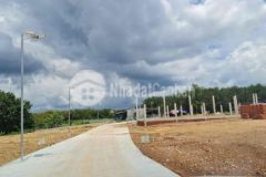 Cần tiền cho con đi du học