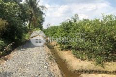 Chủ gần bán 1000m2 21 8x46m đất vườn đc xây nhà