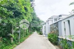 Đất xây biệt thự bình nhâm dt 10 51