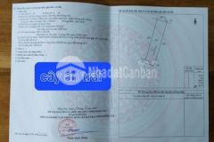 Vườn trái cây sông nhạn cổng sân bay long thành