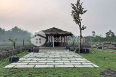 Nhà vườn gân bến đò mát rươi lương hòa bến lức