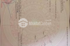 Bán nhà kiệt ô tô thông tứ hướng