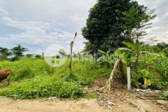 Bán đất hoà phú gần trạm kiểm dịch động vật