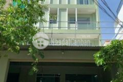 Cần bán tòa nhà vp cực hiếm tân phú 8x29 5tầng