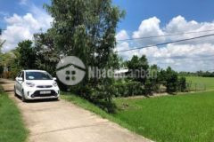 Bán đất mặt tiền đường ô tô 12x90 tại cai lậy