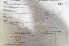 Chính chủ cần bán 1 sào ở tân hoà sát tuyến số 2