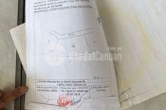 1 hecta đất cà phê xã ninh gia