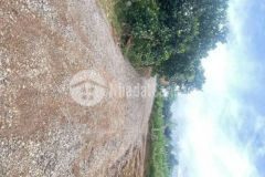 Đất sào nghỉ dưỡng đầu tư sinh lời cao