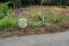 Đất mt nhựa ninh điền châu thành 250m2 thổ 599tr