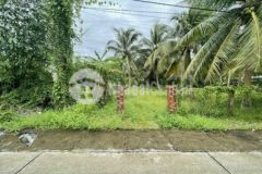 Bán nền thị trấn tam bình gần cầu mỹ phú 1