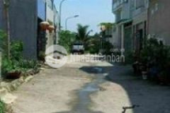 Bán đất an phú đông đường 7m diện tích 4x13