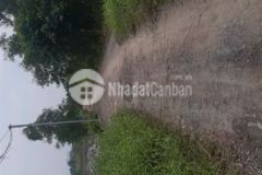 200mv đất thổ 122mv vườn giá chỉ hơn 7triu mv