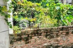 Hiếm rẻ hữu hòa 40m2 đất vuông giá chỉ 2 050 tỷ