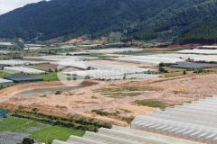 Chủ bán hơn 2.2ha đất ngay trường thcs châu sơn, lạc xuân, đơn dương giá 650tr sào