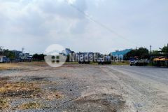 Bán đất sxkd ql 50, gò công, tiền giang. dt 21768m2, giá 3trm2.