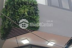 Bán nhà quận 8 dương bá trạc 60m2 7 phòng ngủ.