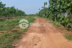 Chính chủ cần bán gấp lô đất châu thành tây tây ninh, mặt tiền đường 8m giá chỉ 390 triệu